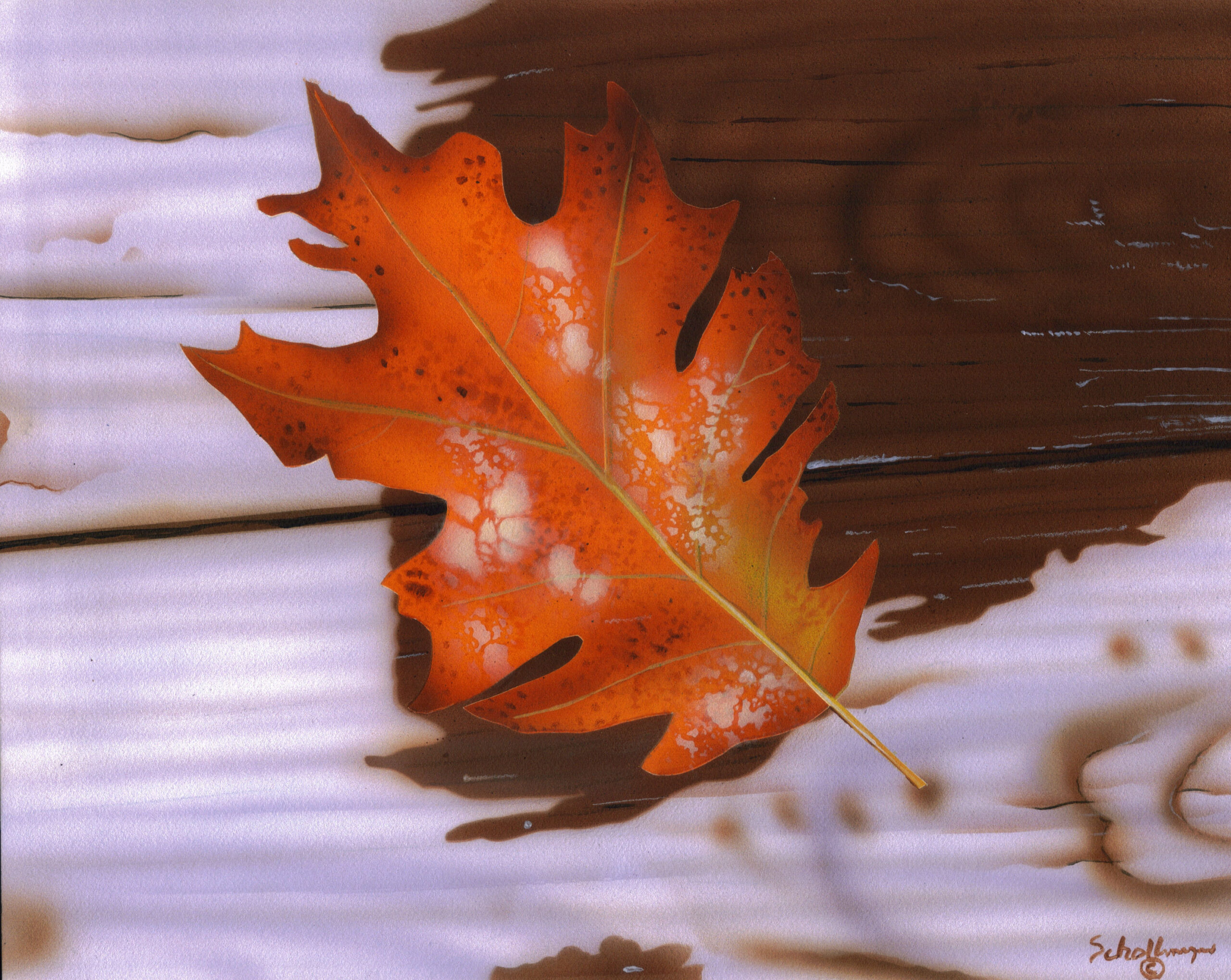 Autumn Leaf (Rainy Afternoon)