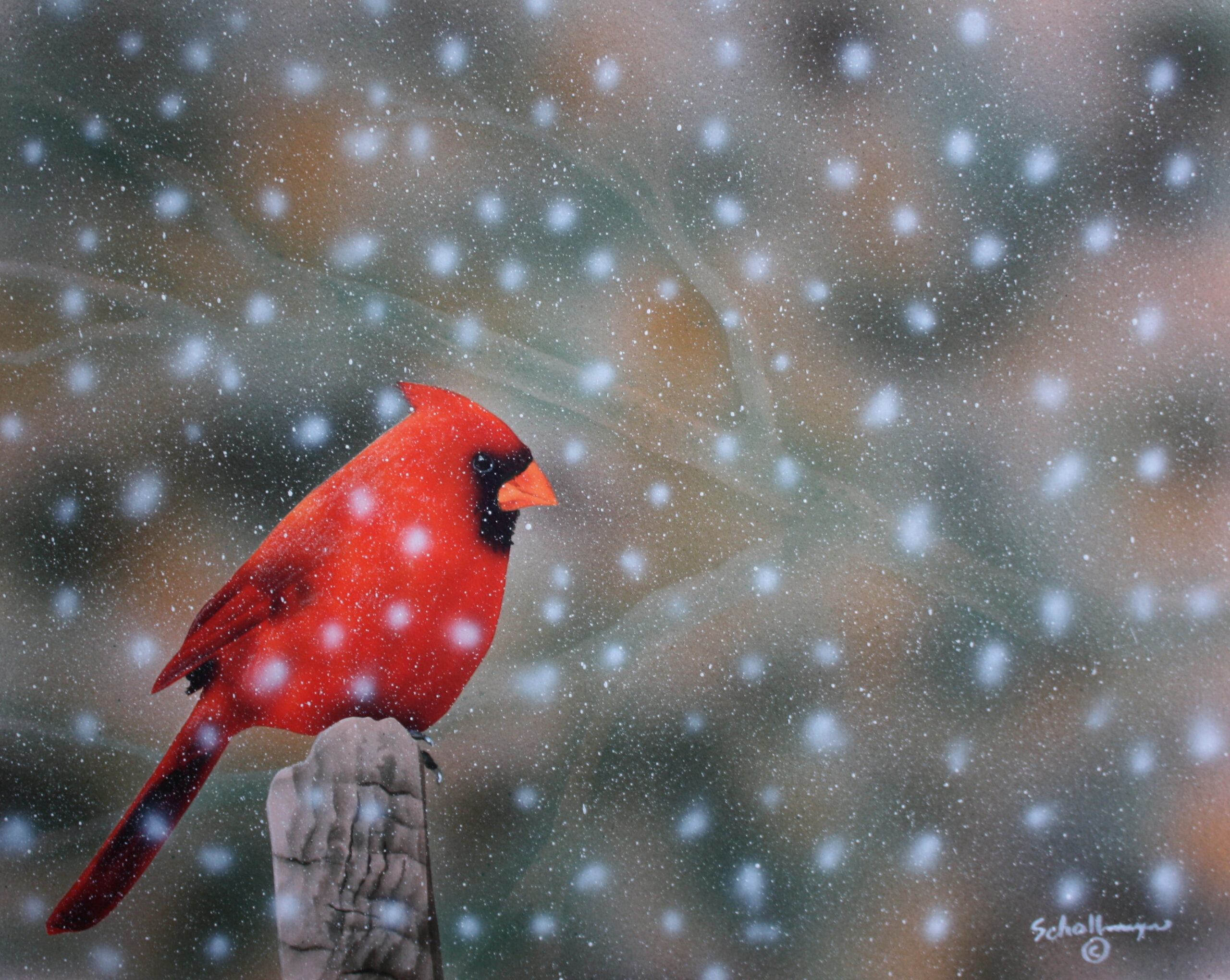 Cardinal in Heavy Snow