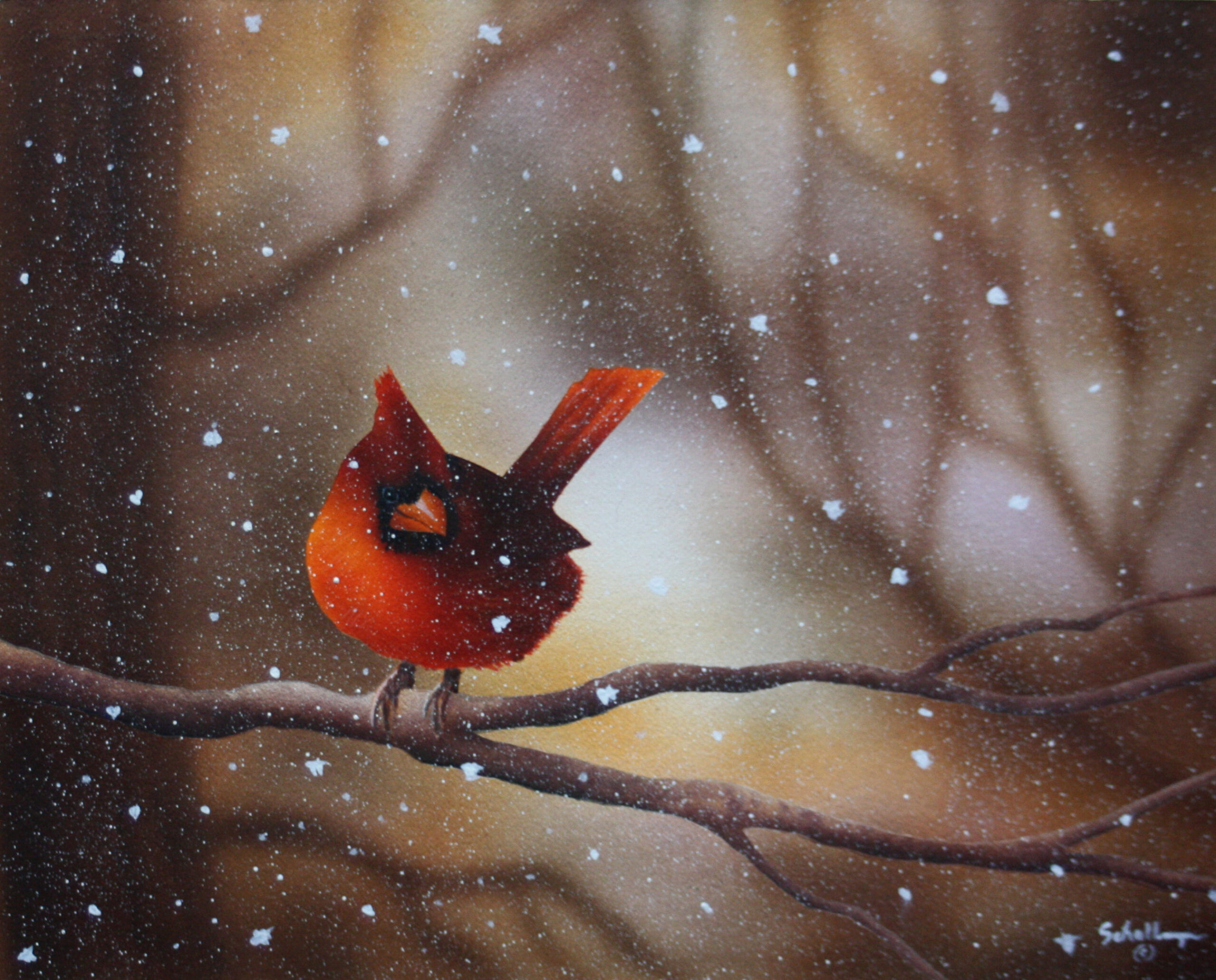 Cardinal in Winter