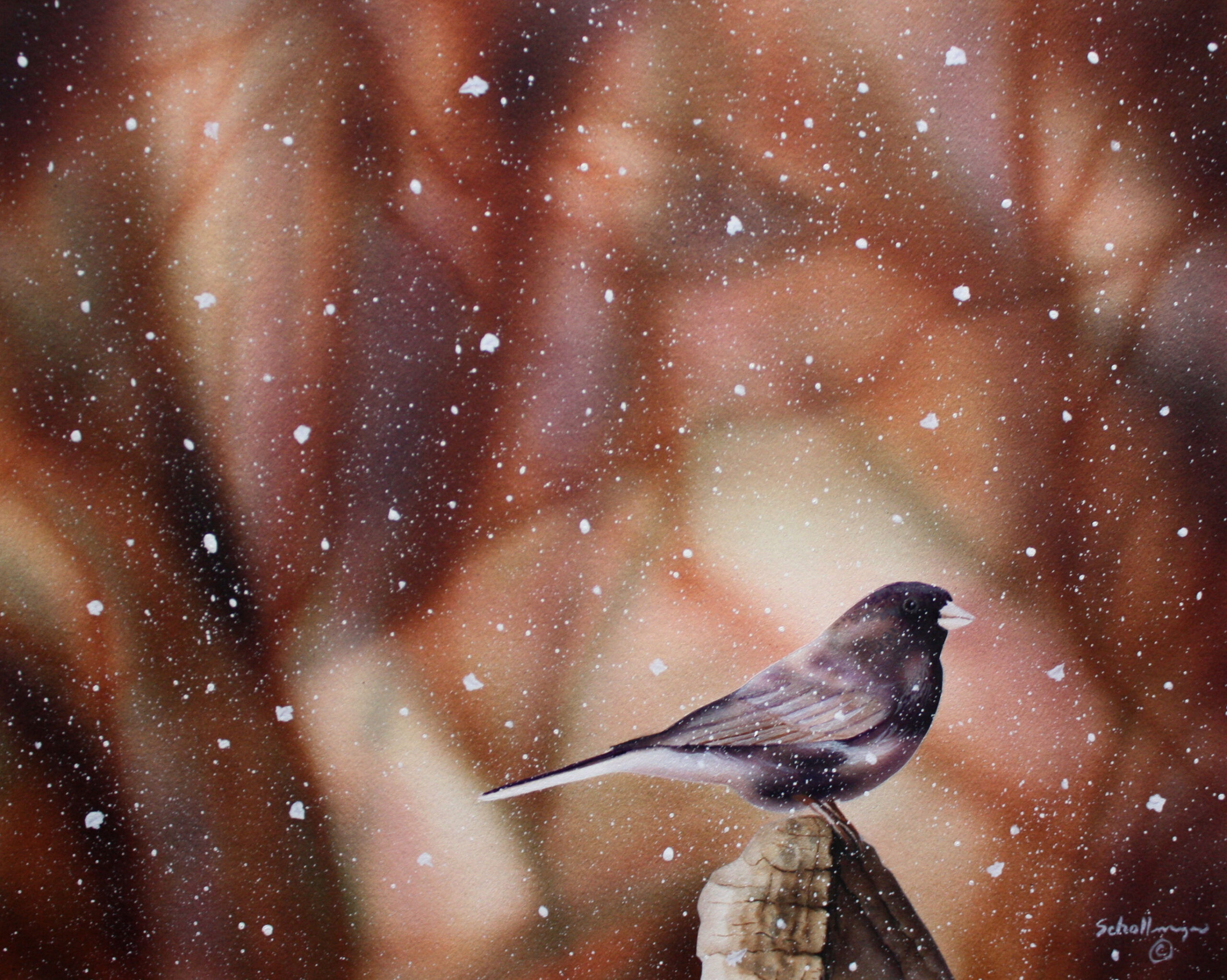 Early Spring Snow Storm