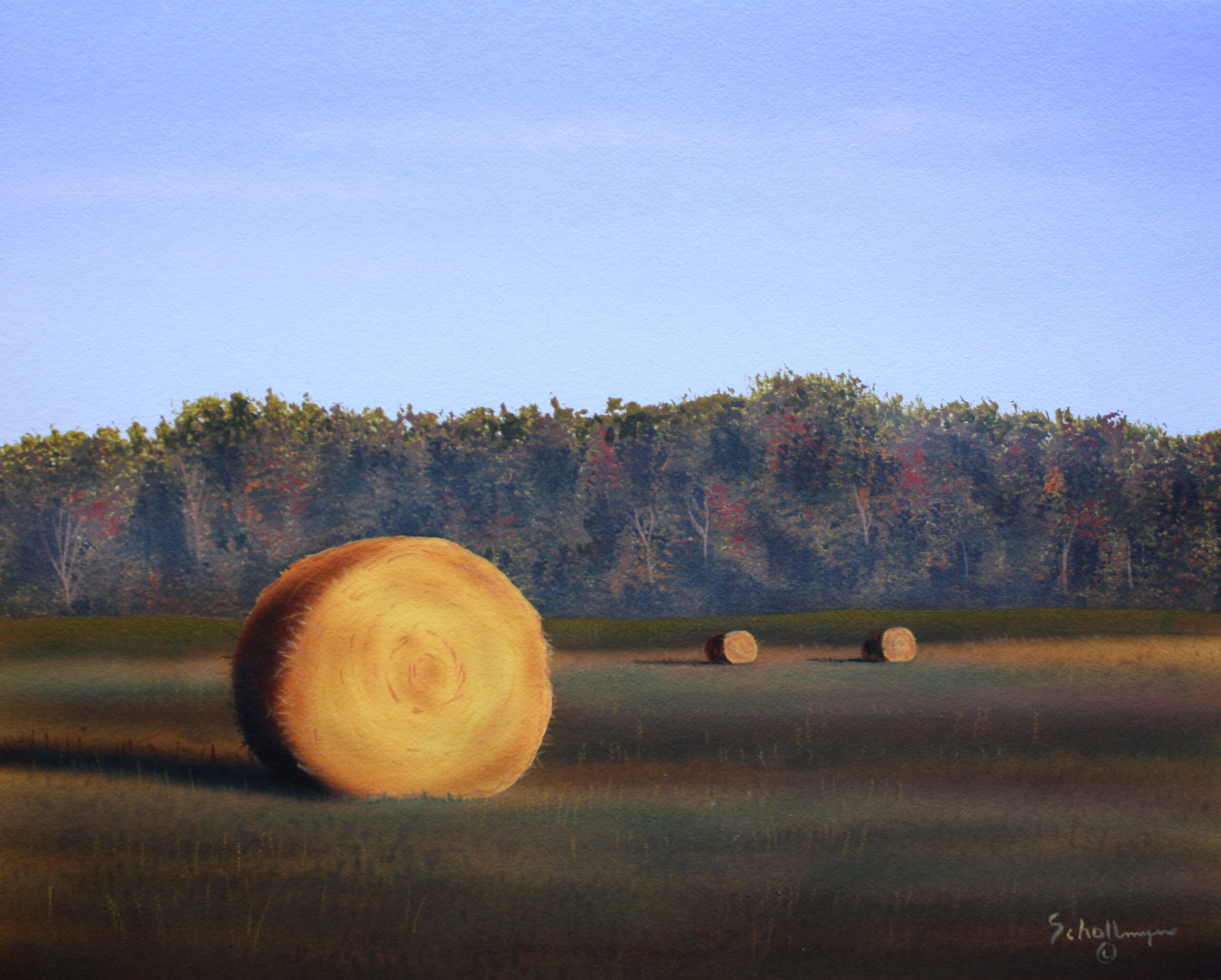 East Hay Field (Early Morning)