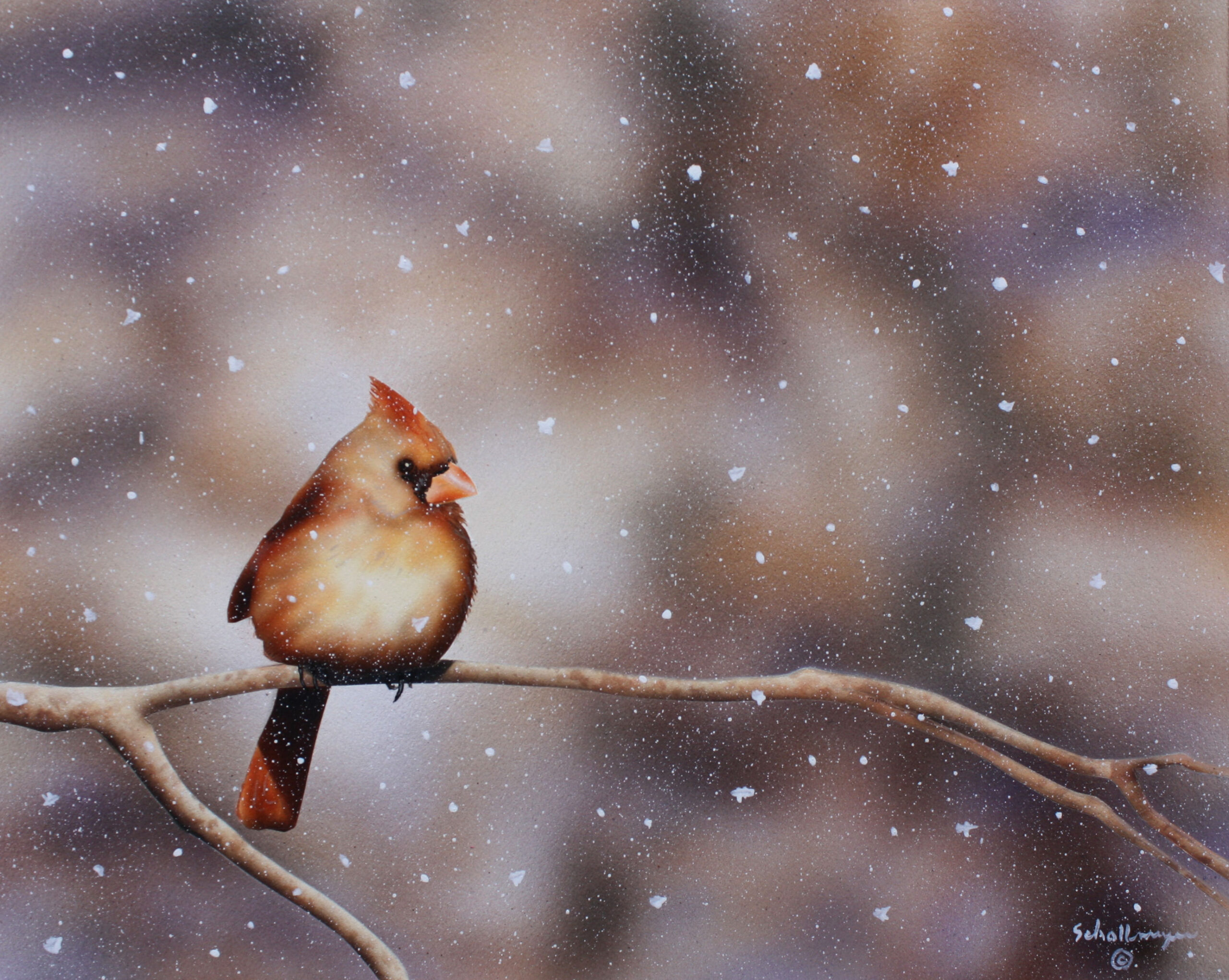 Female Cardinal in Snow