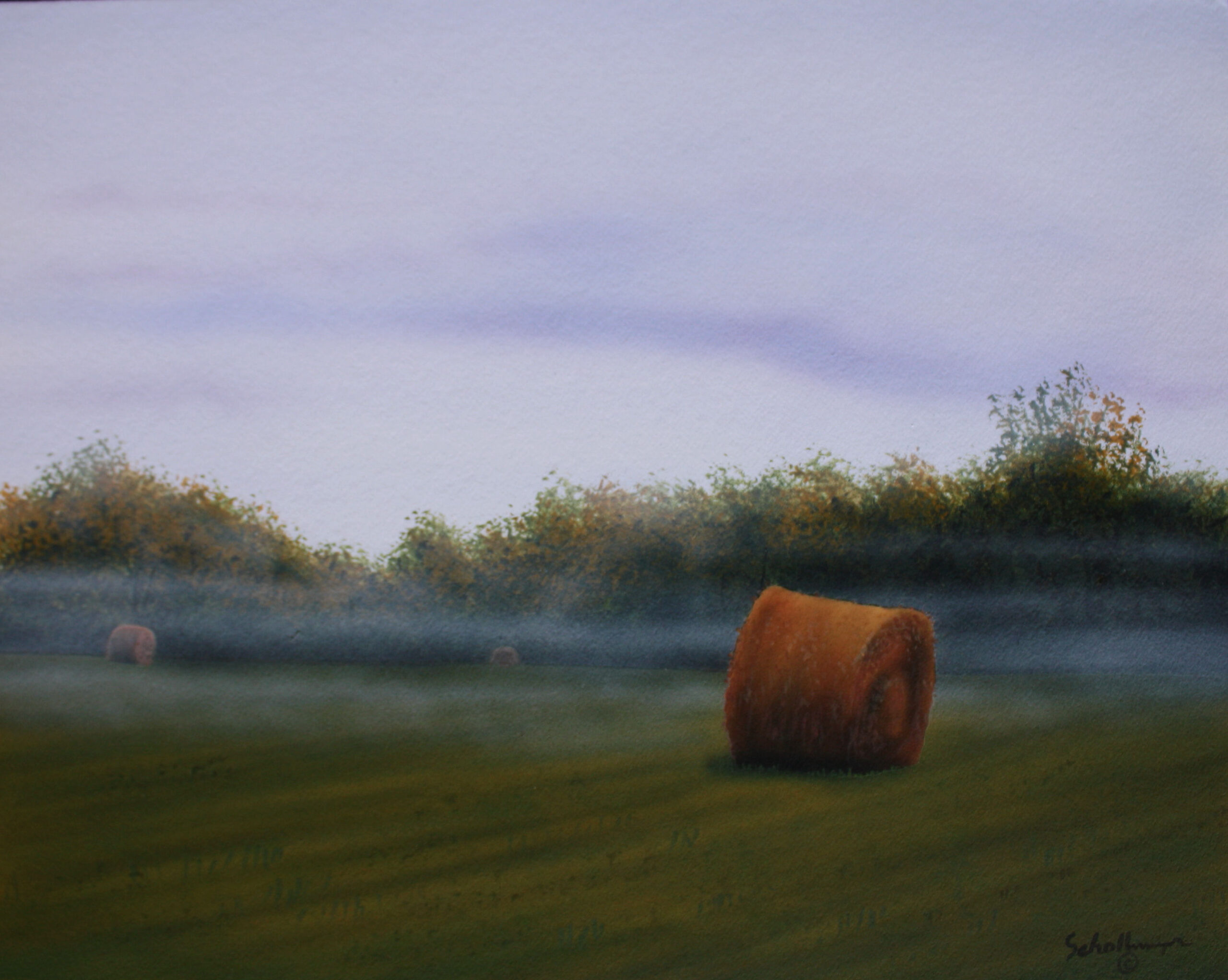 Foggy Morning Hayfield