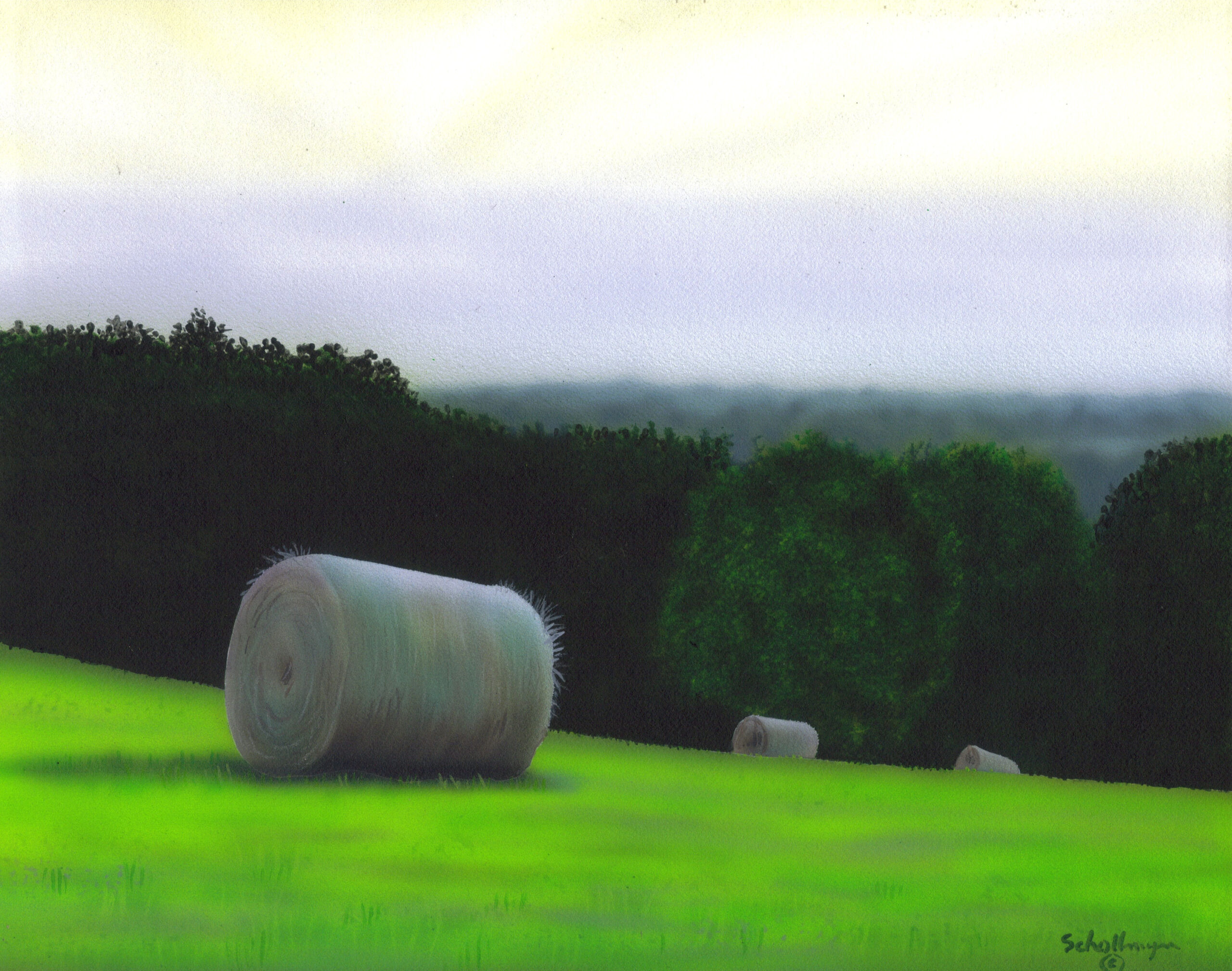 Hay Field Near Fiddler Shallow