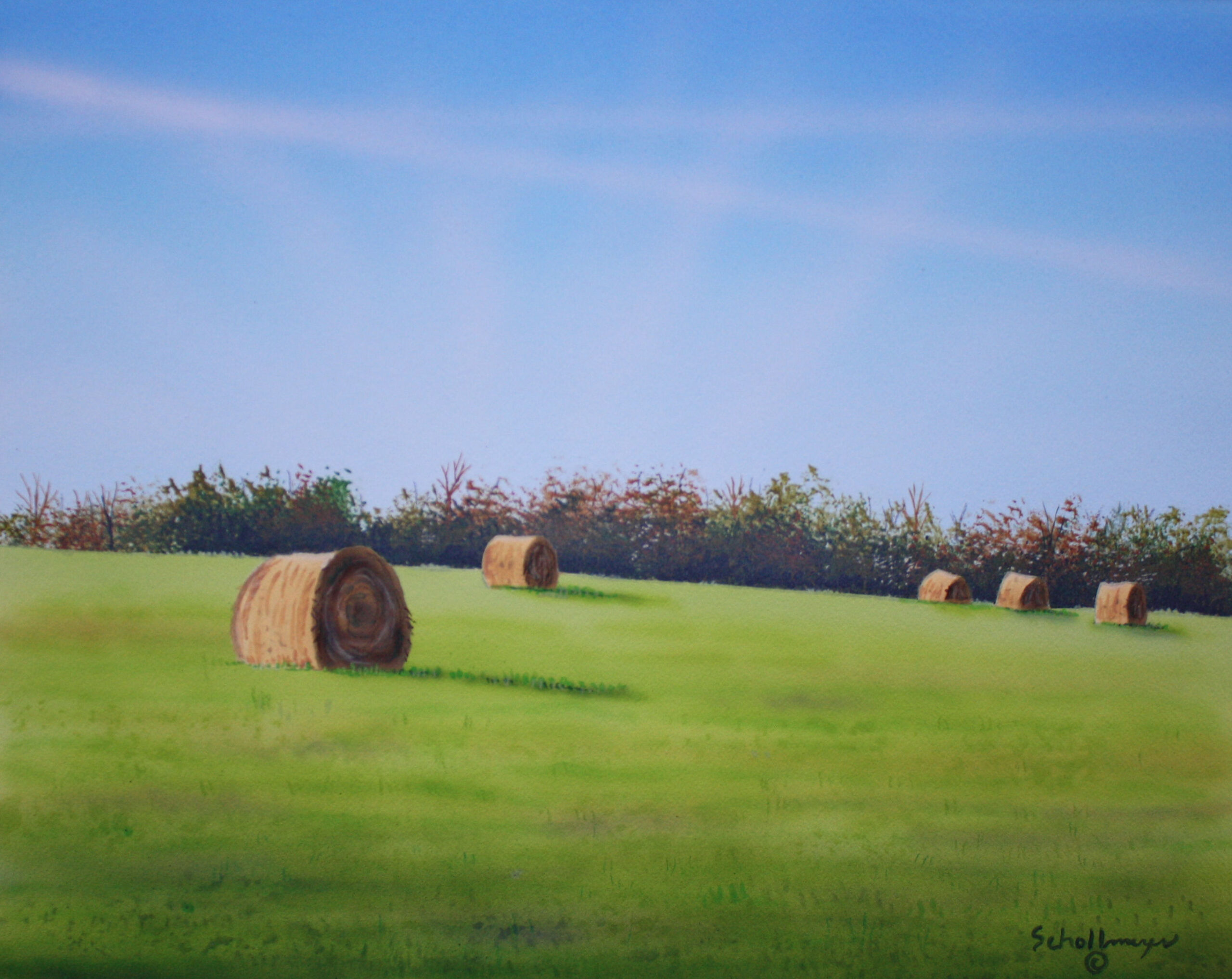 Hay Field North of Town