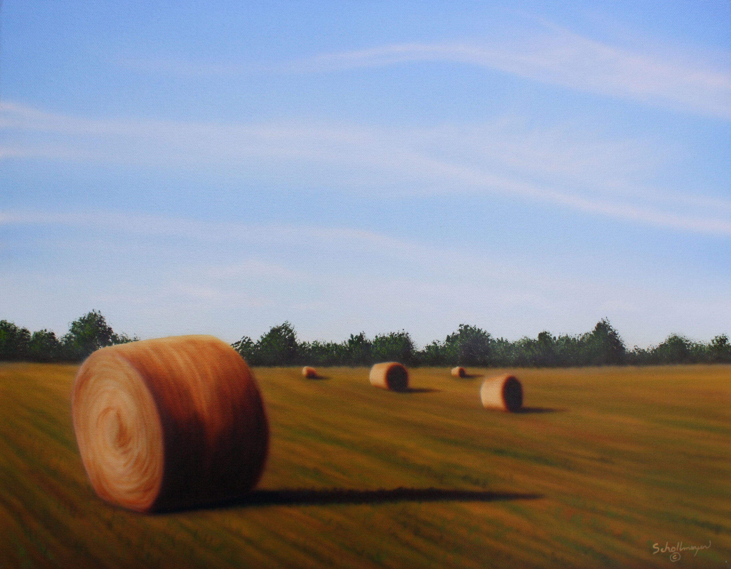 Hayfield On Hightway 100