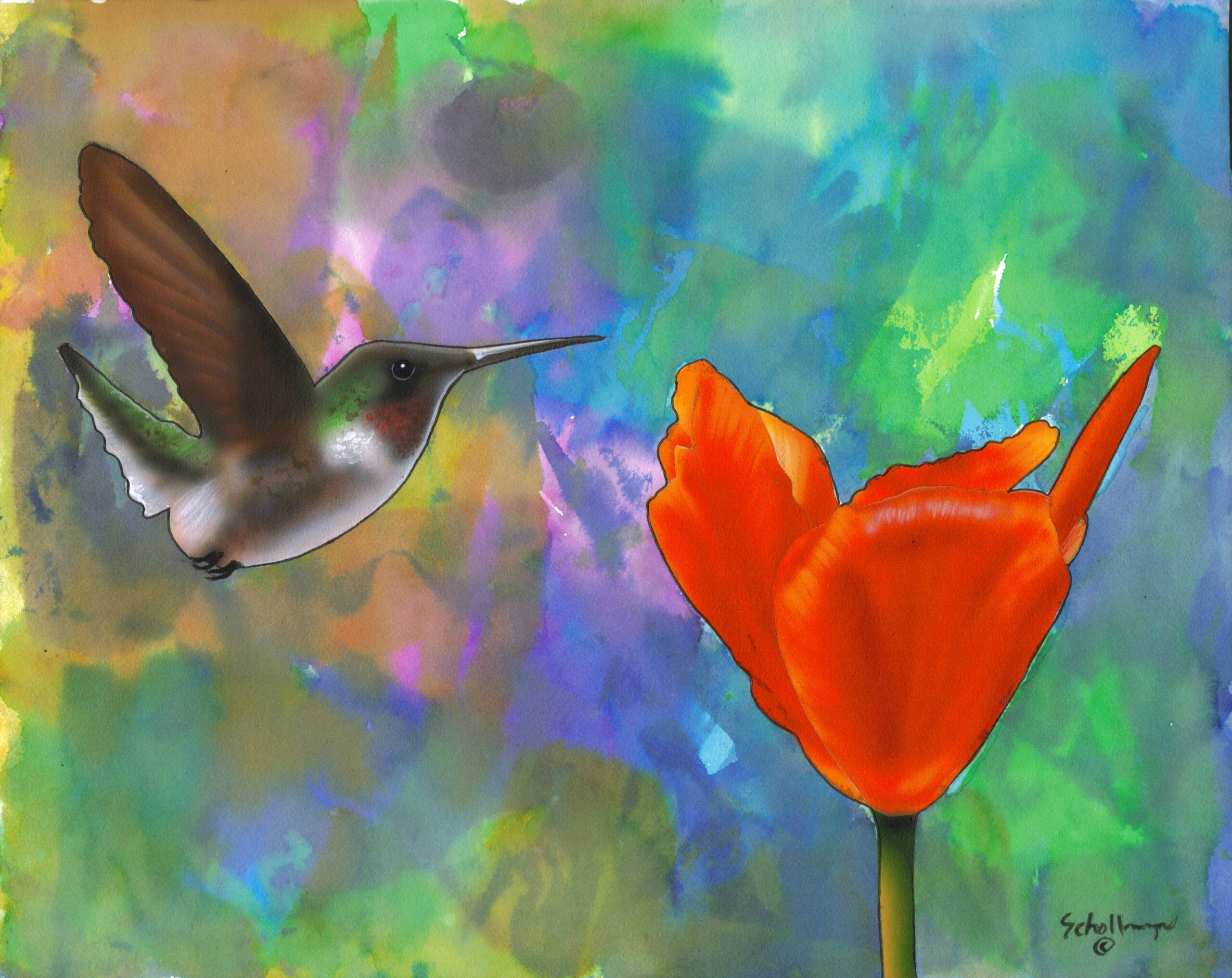 Hummingbird Abstract