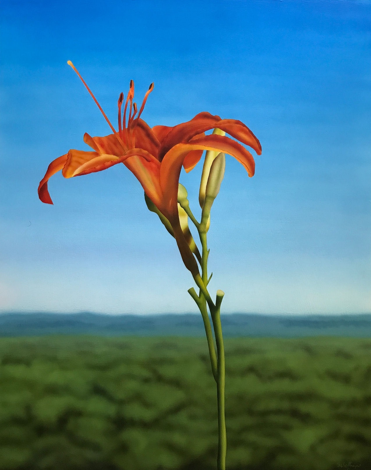 Lily with Distant View of Hills