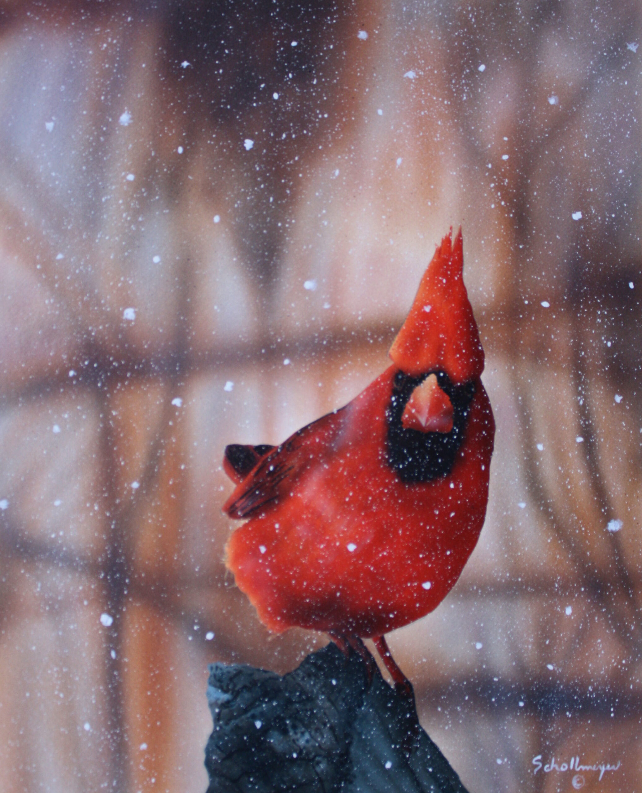 Looking at More Snow