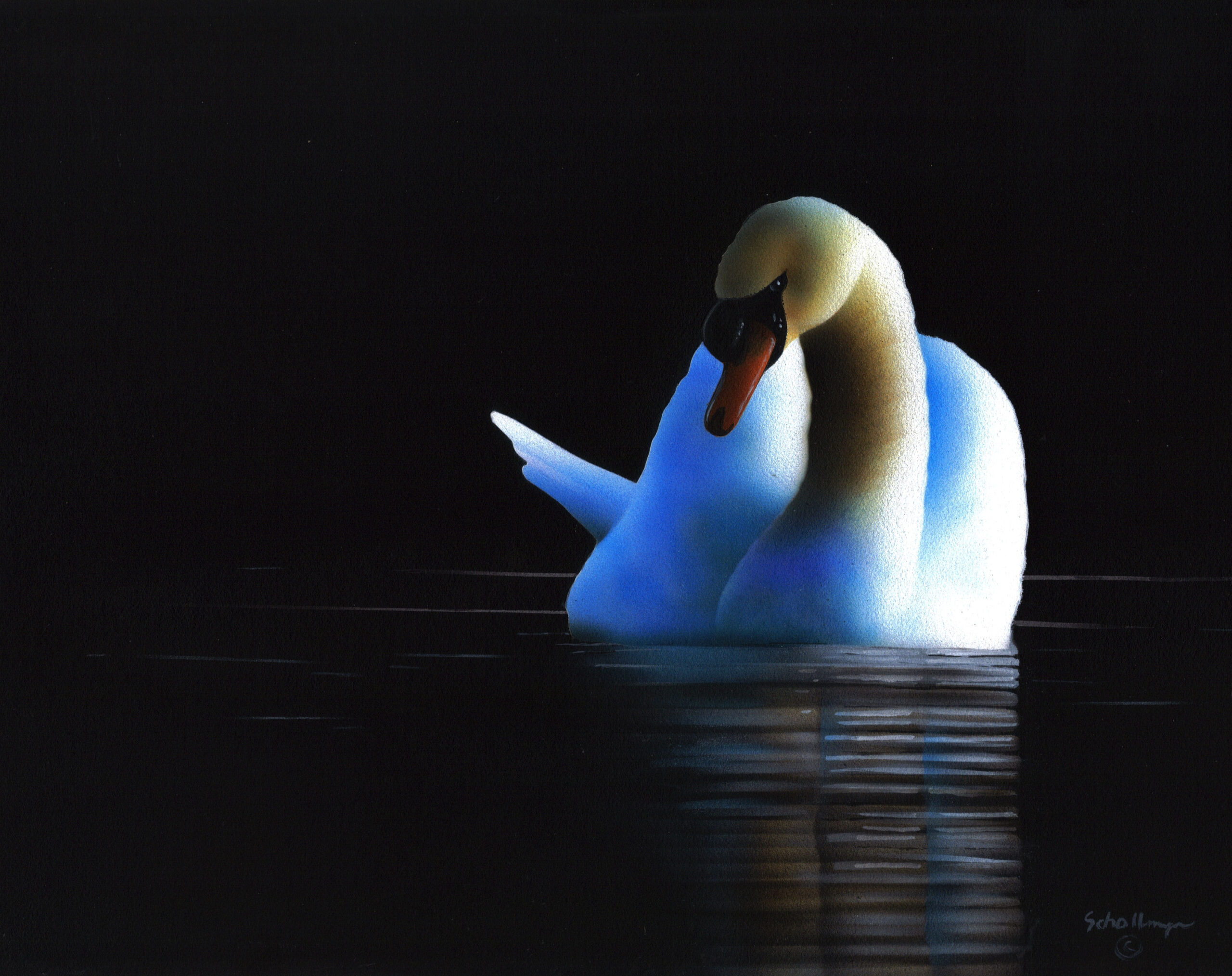 Night Swan