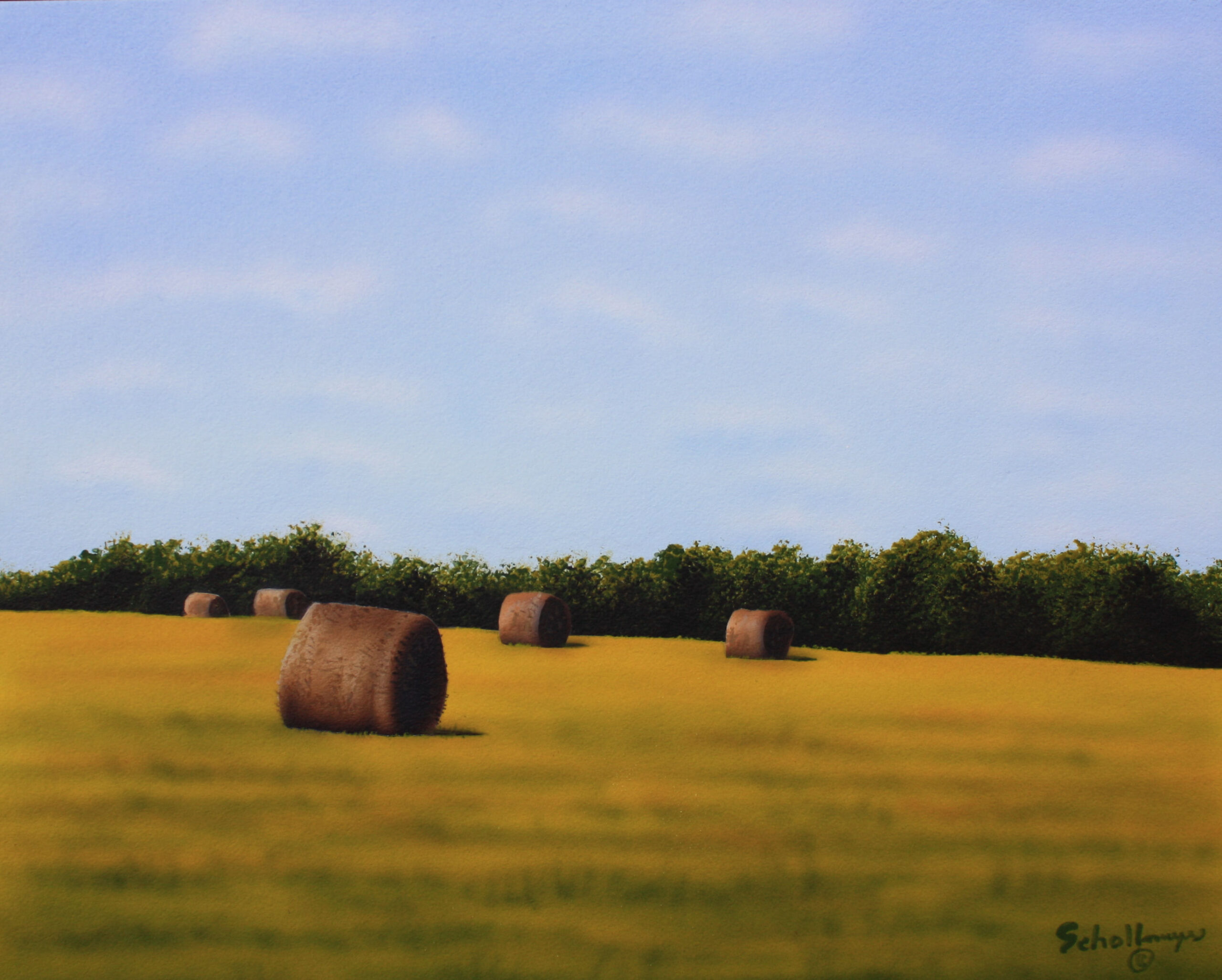 Osage Hay Field
