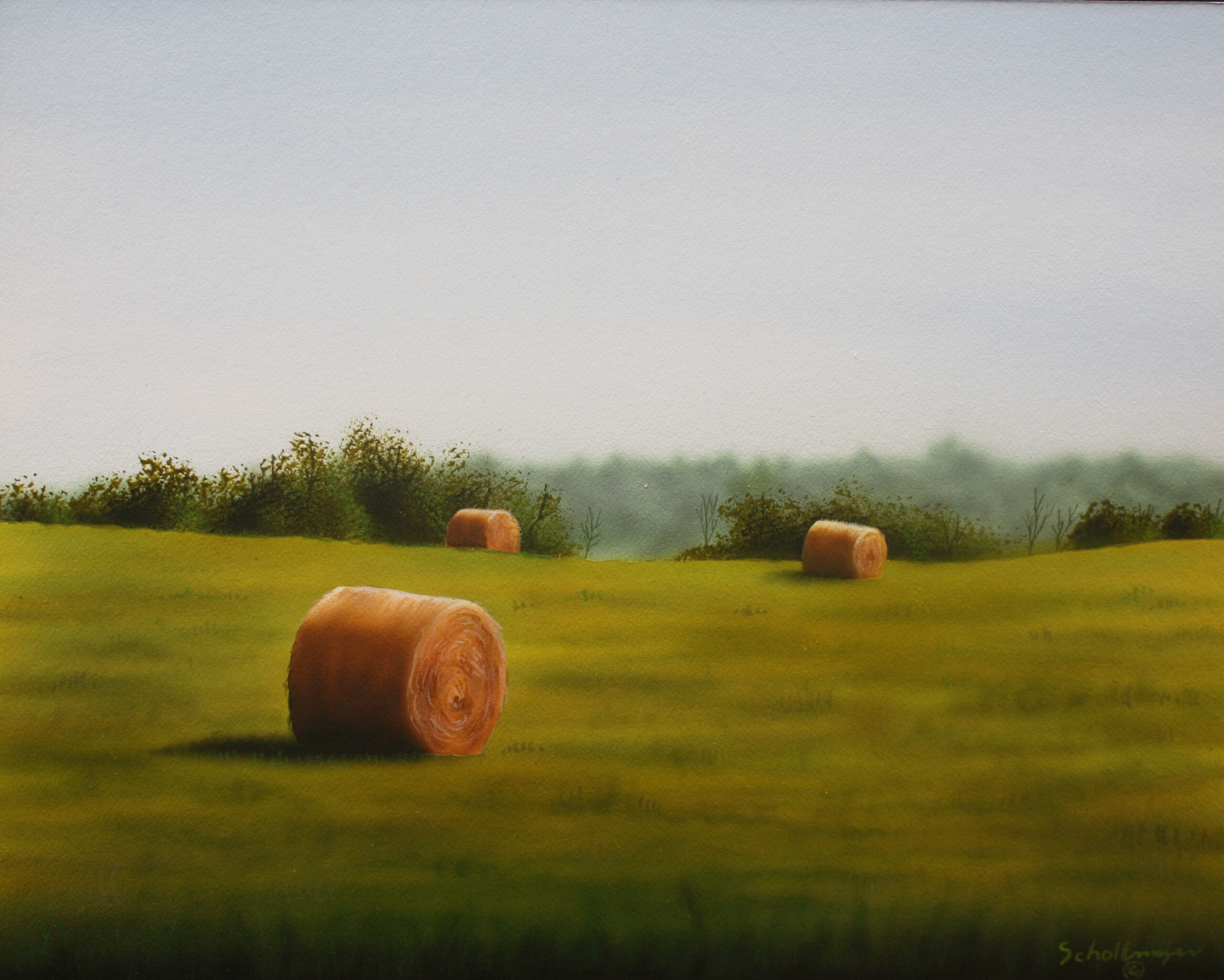 The South Ridge Hay Field