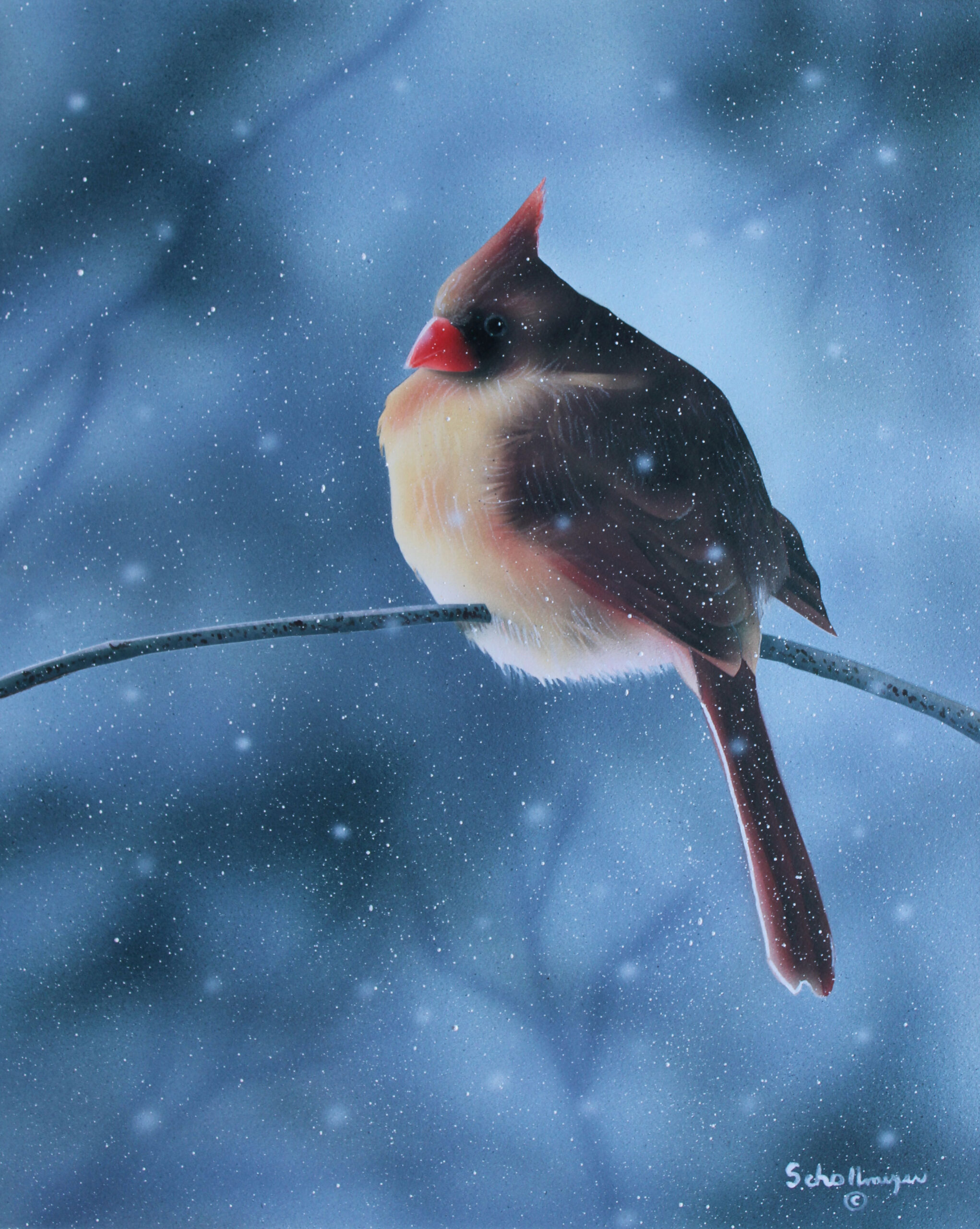 Female Cardinal in Winter