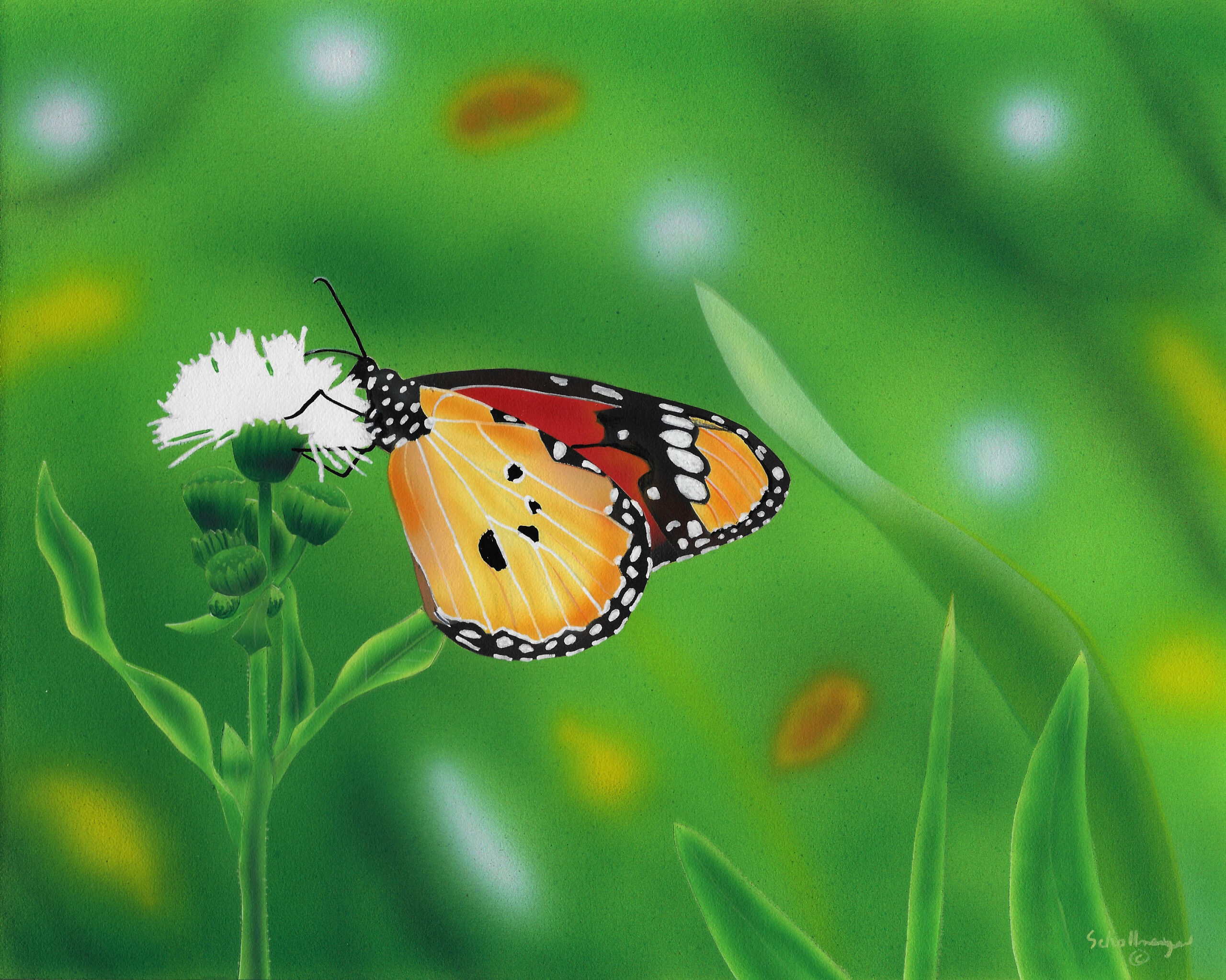 Another Morning in the Garden