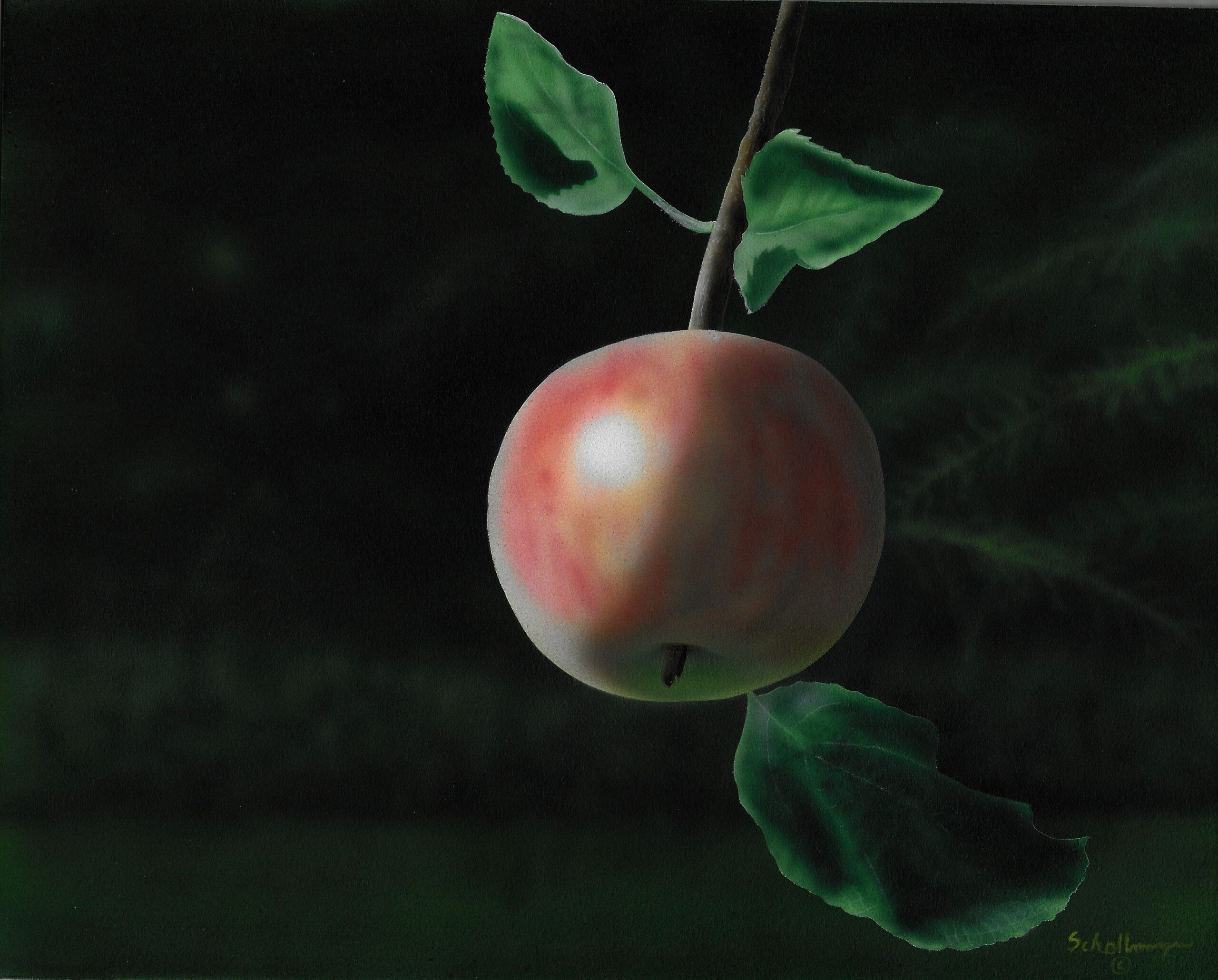 Late Summer Apple