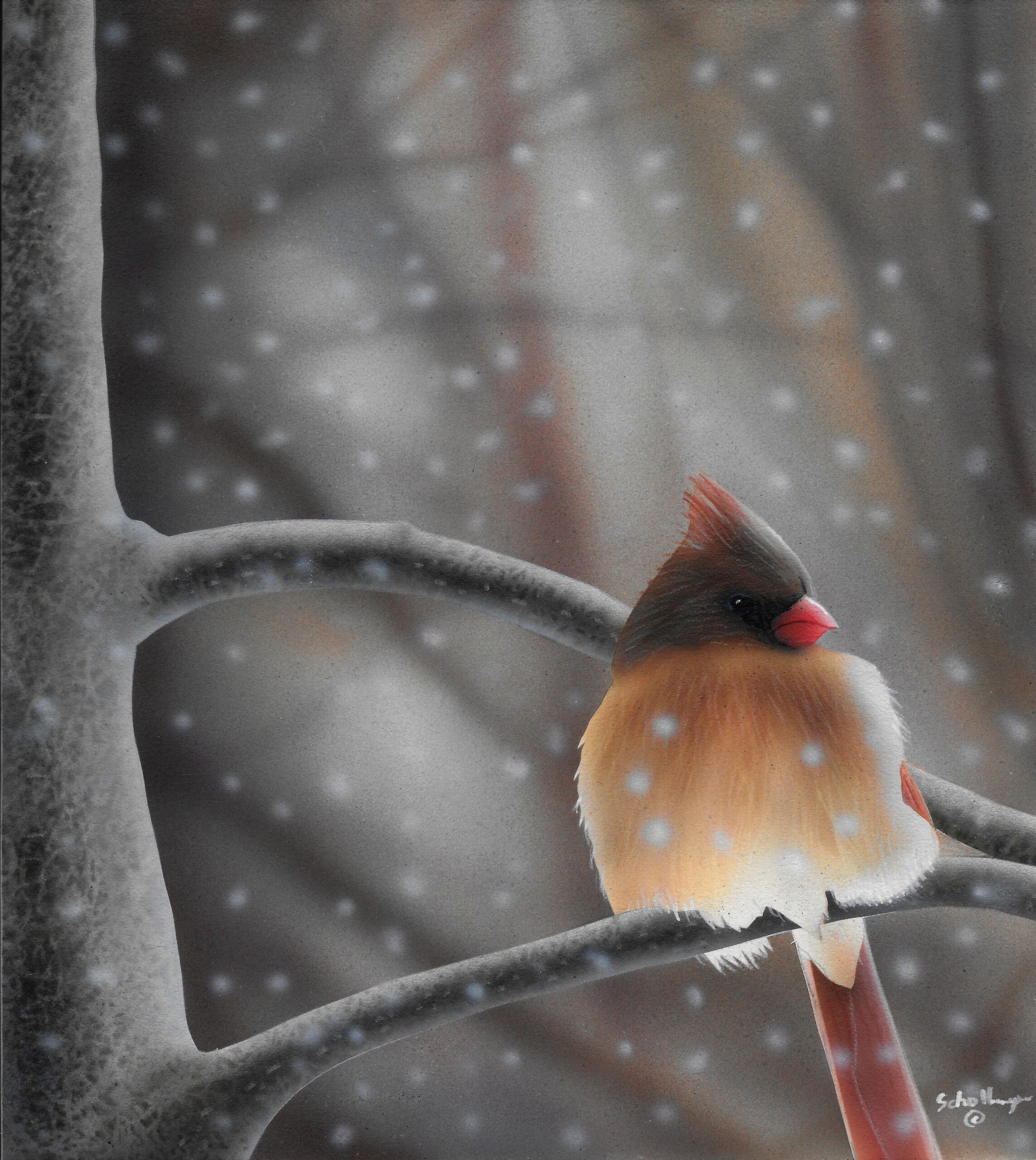Female Cardinal in Snow