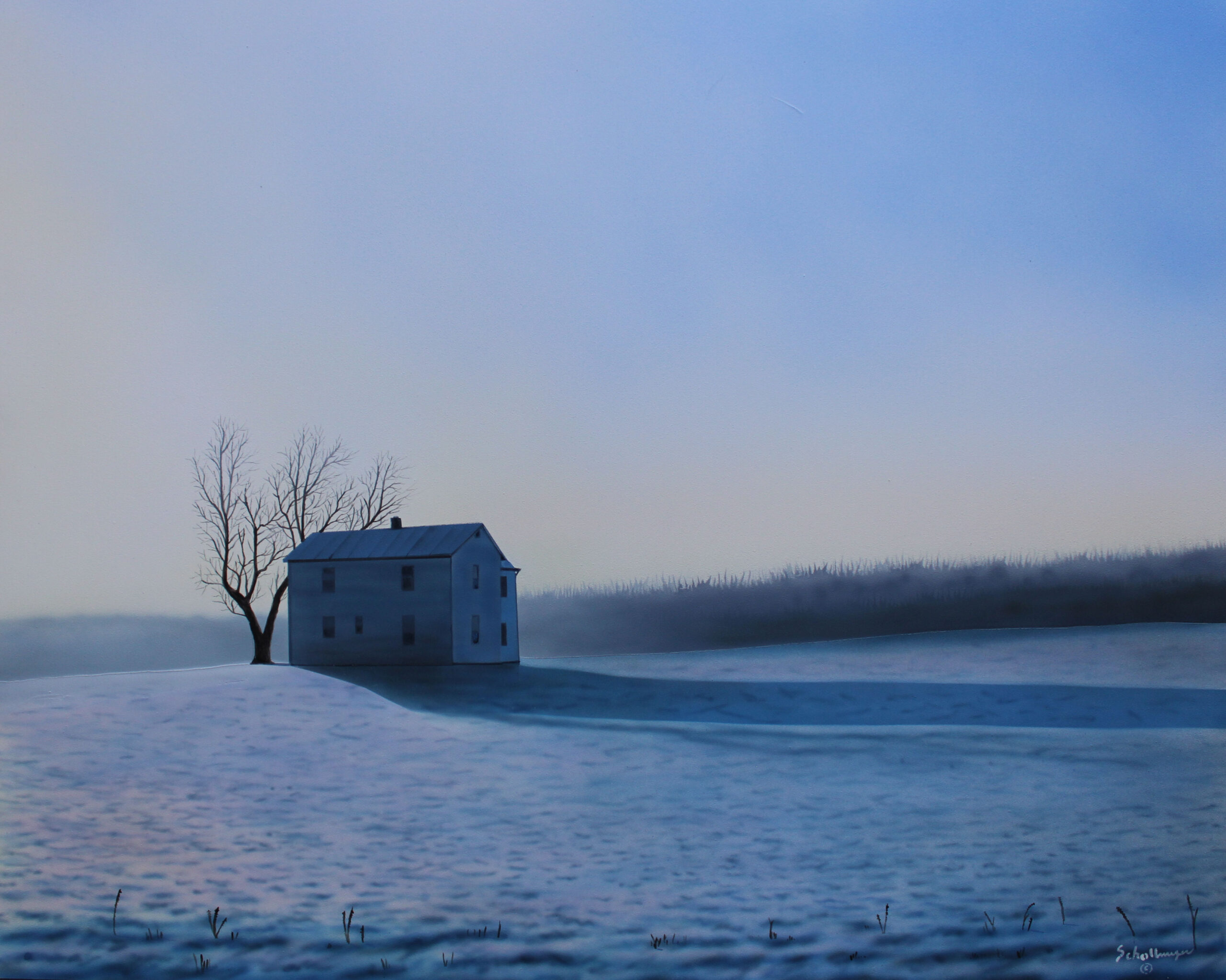 After the January Snowfall