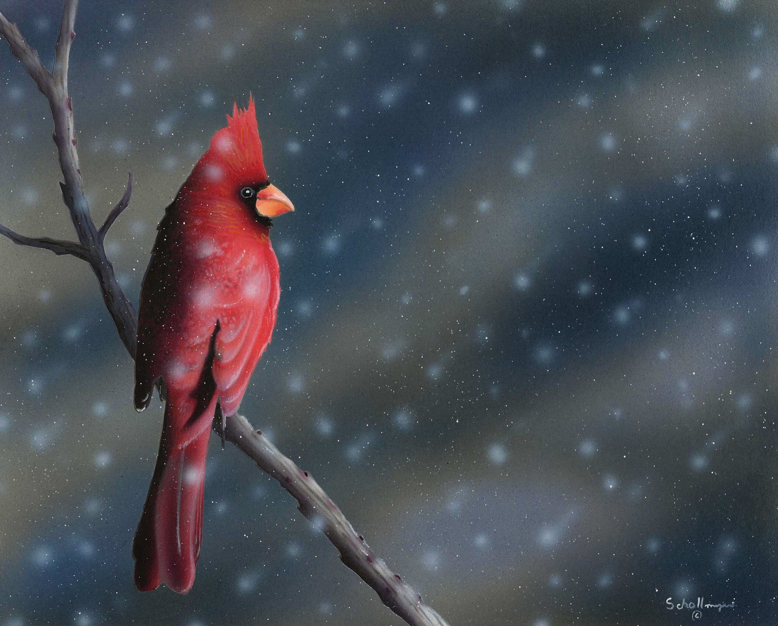 A Snowy Resting Spot