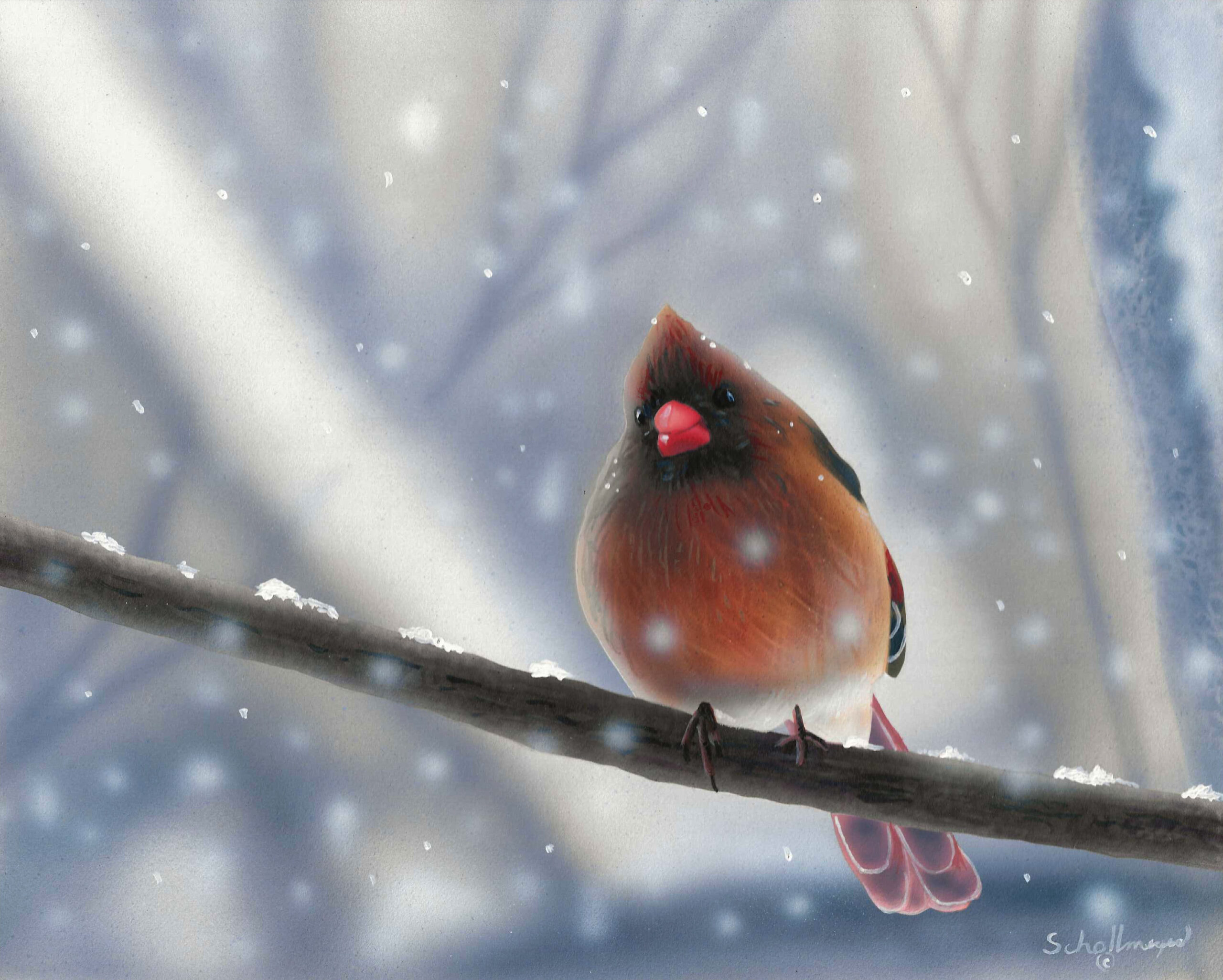 Female Cardinal in Snowstorm