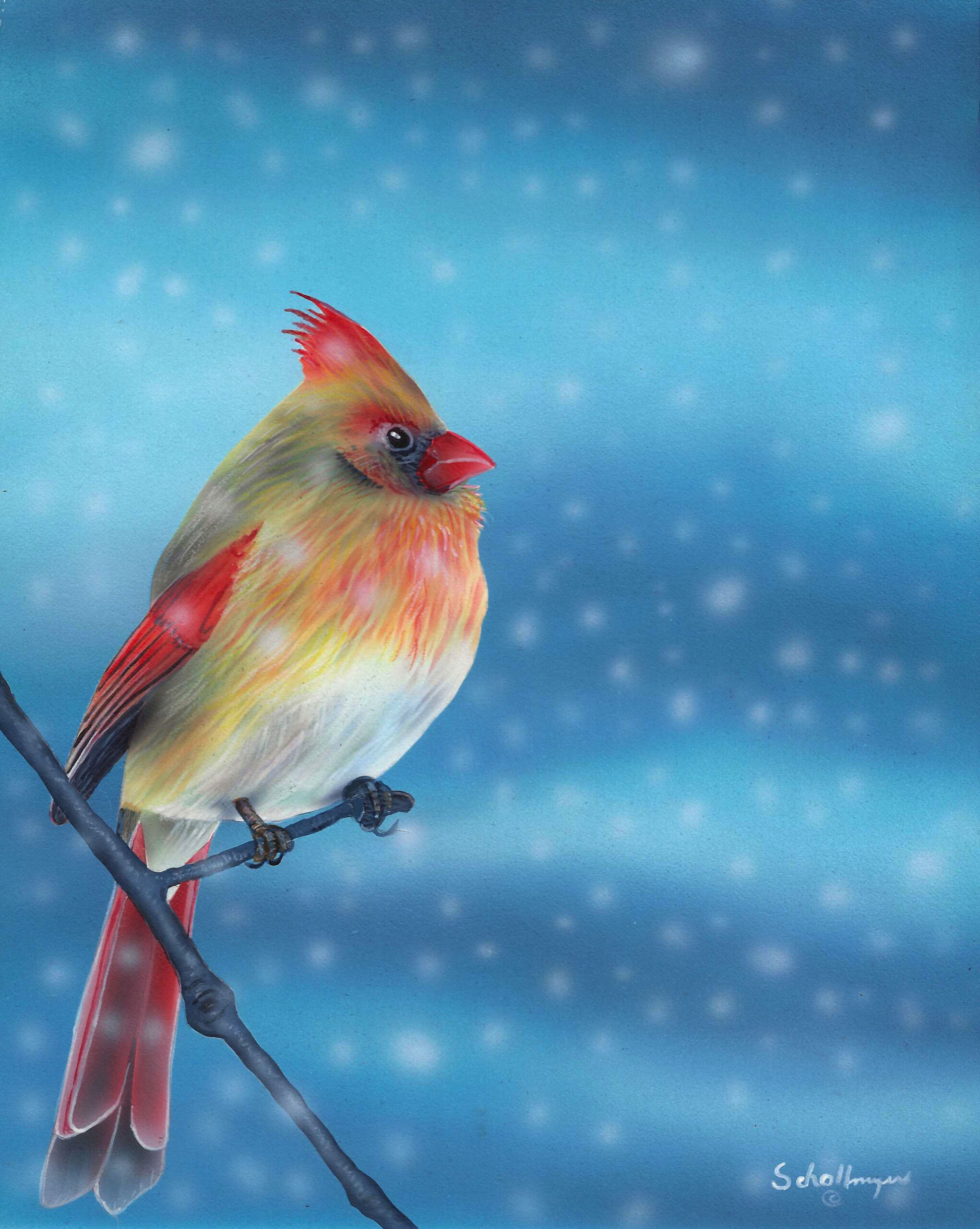 Fall Breaks & Back to Winter