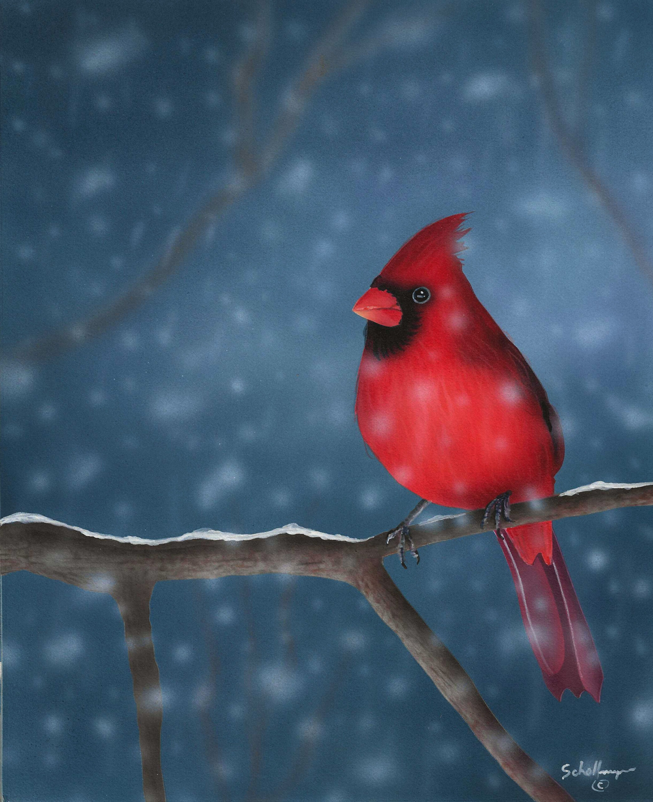Snowy Blast